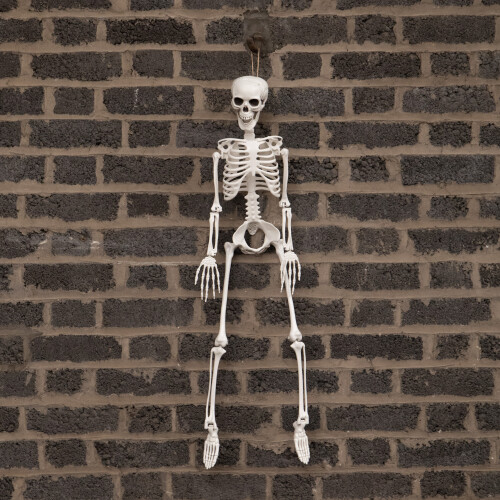 Samuel Alexander 3ft (90cm) Posable Full Body Halloween Skeleton Decoration with Movable Joints 1