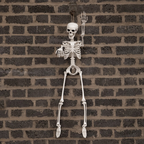 Samuel Alexander 3ft (90cm) Posable Full Body Halloween Skeleton Decoration with Movable Joints 2