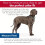 Coastal Pet SecureAway Collar Protector for Flea Collars - Adjustable Accessory 4
