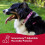 Coastal Pet SecureAway Collar Protector for Flea Collars - Adjustable Accessory 5
