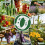 300 Pack Thickened Tomato Clips, Plant Support Plastic Trellis for Grape Vine, 4
