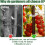 300 Pack Thickened Tomato Clips, Plant Support Plastic Trellis for Grape Vine, 5