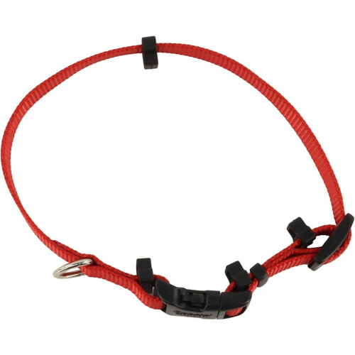 Coastal Pet SecureAway Collar Protector for Flea Collars - Adjustable Accessory 2