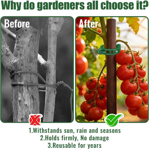 300 Pack Thickened Tomato Clips, Plant Support Plastic Trellis for Grape Vine, 2