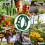 300 Pack Thickened Tomato Clips, Plant Support Plastic Trellis for Grape Vine, 4
