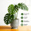 15 Pack Adjustable Plant Support Pole,Garden Stakes for Climing Plants Stem 3