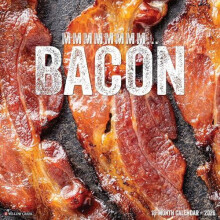 MMMMMMMM... Bacon 2026 Wall Calendar by Willow Creek Press Other Book