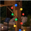 Solar String Lights with 40 Multicolour Globe Bulbs, Waterproof for Garden, Tent and Camping 5