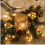 USB LED Christmas String Lights with 10 Decorative Bulbs, 50 Copper Wire LEDs, Remote Control, 8 Modes 3