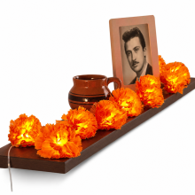 LED Flower String Lights, Warm White, USB, 20 LEDs, Steady On Decorative Lighting for Halloween and Memorials