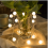 USB Multicolor Frosted Globe LED String Lights, 80 Steady-On LEDs for Tent and Decorative Lighting 4