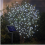 Solar LED String Lights White for Outdoor Use, Waterproof, 100 LEDs, 8 Modes, with Remote Control 3