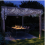 Solar LED String Lights White for Outdoor Use, Waterproof, 100 LEDs, 8 Modes, with Remote Control 4