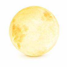 Outdoor Waterproof LED Moon Globe Garden Light, Mains Powered with Ground Stake