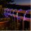 Multicolor USB LED Rope Light for Garden Decoration, 100 LEDs, 8 Modes with Remote Control 2