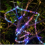 Multicolor USB LED Rope Light for Garden Decoration, 100 LEDs, 8 Modes with Remote Control 3