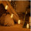 LED String Lights with Round Bulbs, Warm White, 5 m 20 Lights, 8 Modes, Waterproof, Remote Control, Garden 4