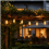 LED String Lights with Round Bulbs, Warm White, 5 m 20 Lights, 8 Modes, Waterproof, Remote Control, Garden 5