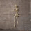 Samuel Alexander 5ft (1.52m) Posable Full Body Halloween Skeleton Decoration with Movable Joints 3