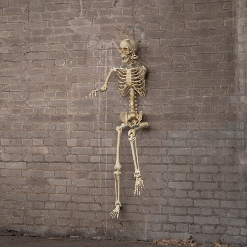 Samuel Alexander 5ft (1.52m) Posable Full Body Halloween Skeleton Decoration with Movable Joints 2