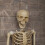 Samuel Alexander 5ft (1.52m) Posable Full Body Halloween Skeleton Decoration with Movable Joints 5
