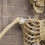 Samuel Alexander 5ft (1.52m) Posable Full Body Halloween Skeleton Decoration with Movable Joints 6
