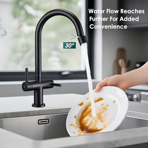 Peppermint Kitchen Tap Black Dual Lever with 2 Function Adjustable Aerator 1