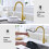 Tohlar Gold Kitchen Tap with Pull Out Sprayer, 2 Modes Spray 3