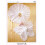Sirdar Snuggly 2PLY Baby Shawl Blanket Knitting Pattern 3851 1