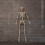 Samuel Alexander 5ft (1.5m) Battery Powered Light up Halloween Skeleton with Poseable Joints & Red LEDs 2