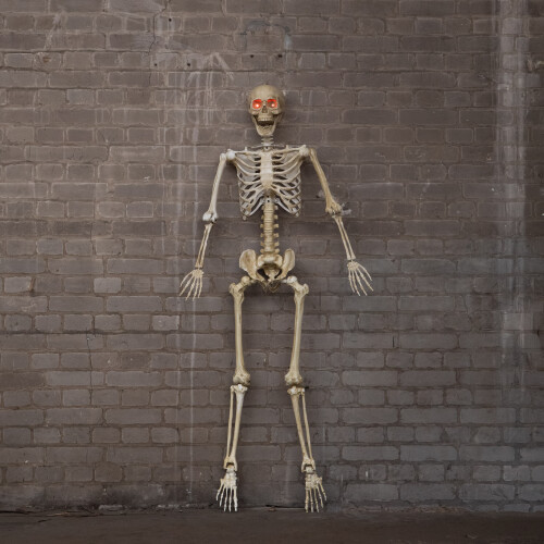 Samuel Alexander 5ft (1.5m) Battery Powered Light up Halloween Skeleton with Poseable Joints & Red LEDs 1