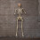 Samuel Alexander 5ft (1.5m) Battery Powered Light up Halloween Skeleton with Poseable Joints & Red LEDs 3