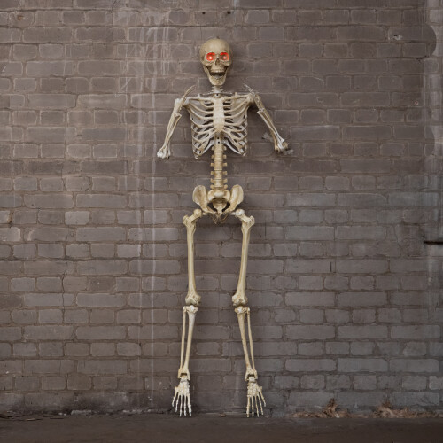 Samuel Alexander 5ft (1.5m) Battery Powered Light up Halloween Skeleton with Poseable Joints & Red LEDs 2