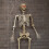 Samuel Alexander 5ft (1.5m) Battery Powered Light up Halloween Skeleton with Poseable Joints & Red LEDs 4