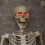 Samuel Alexander 5ft (1.5m) Battery Powered Light up Halloween Skeleton with Poseable Joints & Red LEDs 5