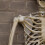 Samuel Alexander 5ft (1.5m) Battery Powered Light up Halloween Skeleton with Poseable Joints & Red LEDs 7