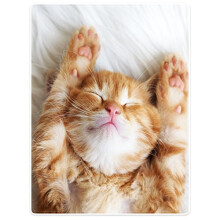 YISUMEI Blanket 75 x 100 cm Soft Flannel Fleece Blanket Bed Blanket Kitten Cat Sleeping Yellow