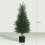 2-Pack 90cm Artificial Cypress Trees w/ Pot 3