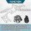 Fits for LS Engine Serpentine Bracket Alternator Power Steering Pump Swap Conversion 2