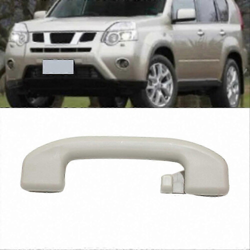 Overhead Auto Assist Grip with Cargo Hook, Secure Cabin Rail 1