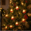 Christmas LED String Lights with Backpack Santa, 40 LEDs, 6 m, Battery Powered, Steady and Flashing 3