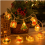 Acrylic Christmas LED String Lights, USB Powered, 20 LEDs, Tree, Window and Shop Decoration 5
