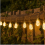 Solar Edison Bulb String Lights, Warm White, 20 Bulbs, 8 Modes, USB Rechargeable Remote Control, Waterproof Outdoor 3