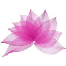 100 Pcs Dark Rose Red Skeleton Leaves, 2"- 3" Rubber Tree Scrapbooking Dried Pressed Leaves Vein for Photo Albums Crafts Wedding Cards Arrangements De