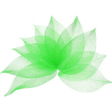 100 Pcs Green Skeleton Leaves, 2"- 3" Rubber Tree Scrapbooking Dried Pressed Leaves Vein for Photo Albums Crafts Wedding Cards Arrangements Decor Gift