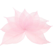 100 Pcs Light Pink Skeleton Leaves, 2"- 3" Rubber Tree Scrapbooking Dried Pressed Leaves Vein for Photo Albums Crafts Wedding Cards Arrangements Decor