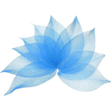 100 Pcs Cyan Skeleton Leaves, 2"- 3" Rubber Tree Scrapbooking Dried Pressed Leaves Vein for Photo Albums Crafts Wedding Cards Arrangements Decor Gifts