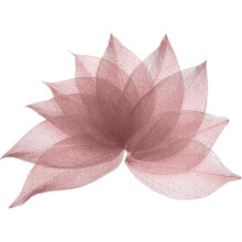 100 Pcs Dark Pink Skeleton Leaves, 2"- 3" Rubber Tree Scrapbooking Dried Pressed Leaves Vein for Photo Albums Crafts Wedding Cards Arrangements Decor