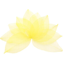 100 Pcs Yellow Skeleton Leaves, 2"- 3" Rubber Tree Scrapbooking Dried Pressed Leaves Vein for Photo Albums Crafts Wedding Cards Arrangements Decor Gif