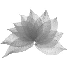 100 Pcs Grey Skeleton Leaves, 2"- 3" Rubber Tree Scrapbooking Dried Pressed Leaves Vein for Photo Albums Crafts Wedding Cards Arrangements Decor Gifts
